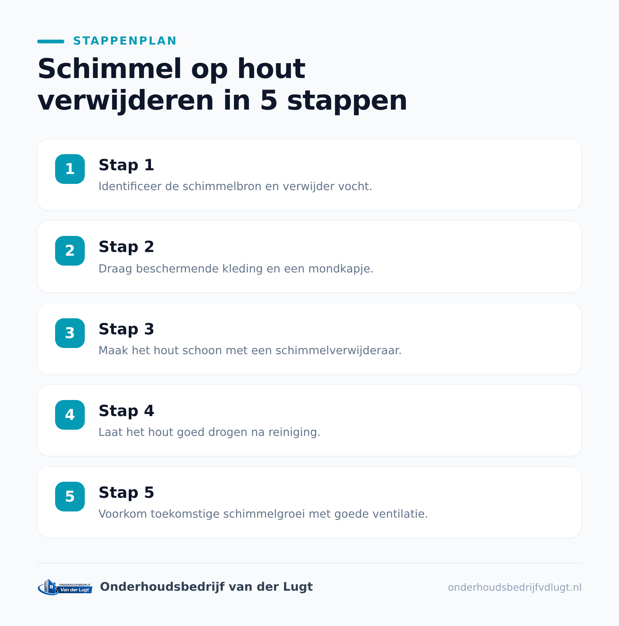 Waarom je schimmel niet moet laten zitten