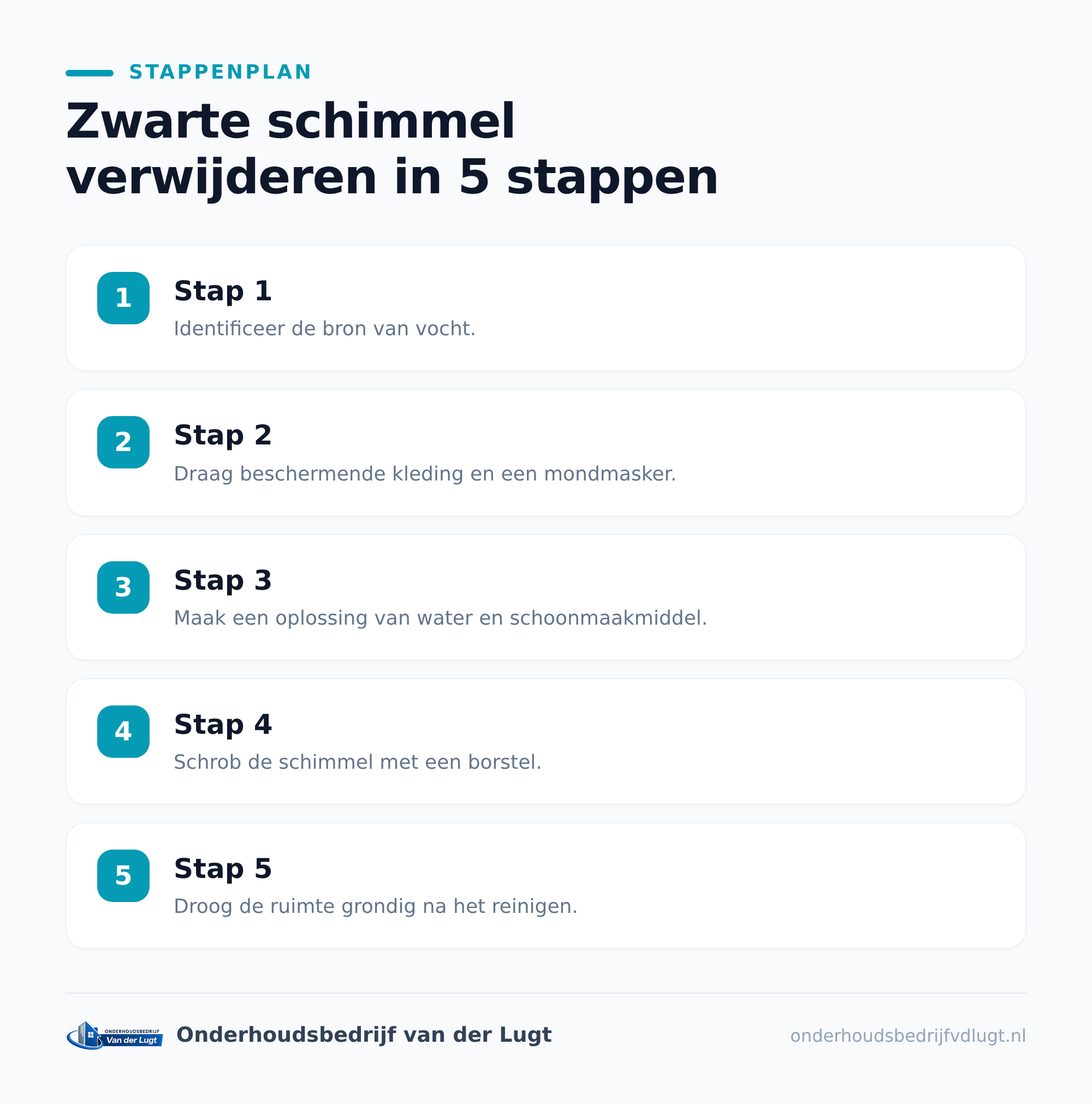 Waarom ontstaat zwarte schimmel in huis?